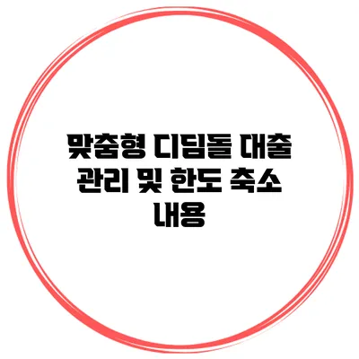 맞춤형 디딤돌 대출 관리 및 한도 축소 내용