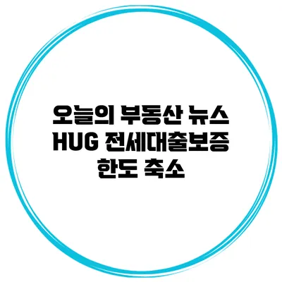 오늘의 부동산 뉴스 HUG 전세대출보증 한도 축소