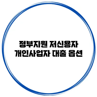 정부지원 저신용자 개인사업자 대출 옵션
