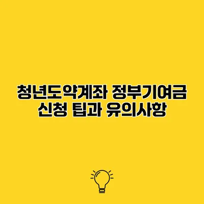 청년도약계좌 정부기여금 신청 팁과 유의사항