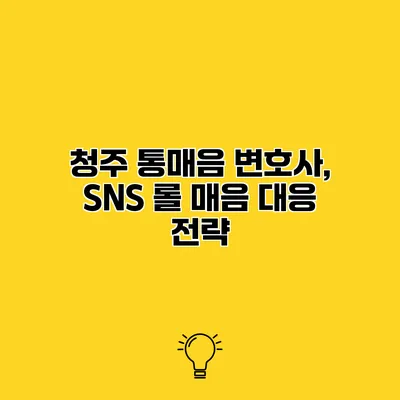 청주 통매음 변호사, SNS 롤 매음 대응 전략