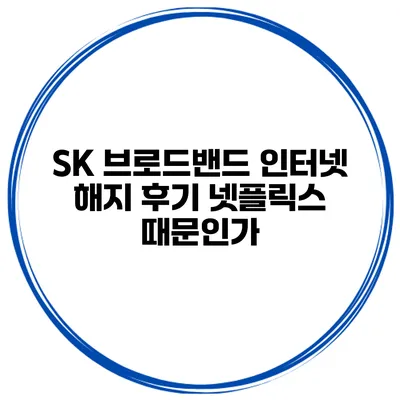 SK 브로드밴드 인터넷 해지 후기 넷플릭스 때문인가?