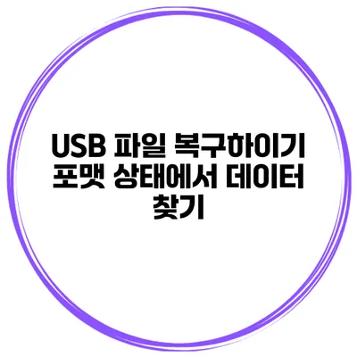 USB 파일 복구하이기 포맷 상태에서 데이터 찾기