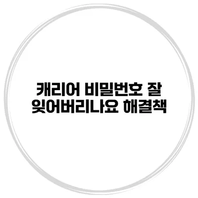 캐리어 비밀번호 잘 잊어버리나요? 해결책